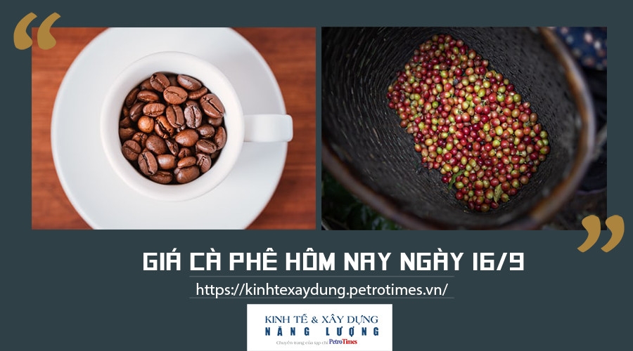 Giá cà phê hôm nay 16/9: Tăng nhẹ tại một số địa phương