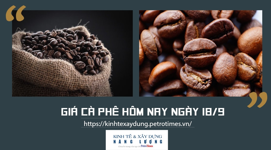Giá cà phê hôm nay ngày 18/9: Lên đỉnh cao nhất trong 1 năm qua