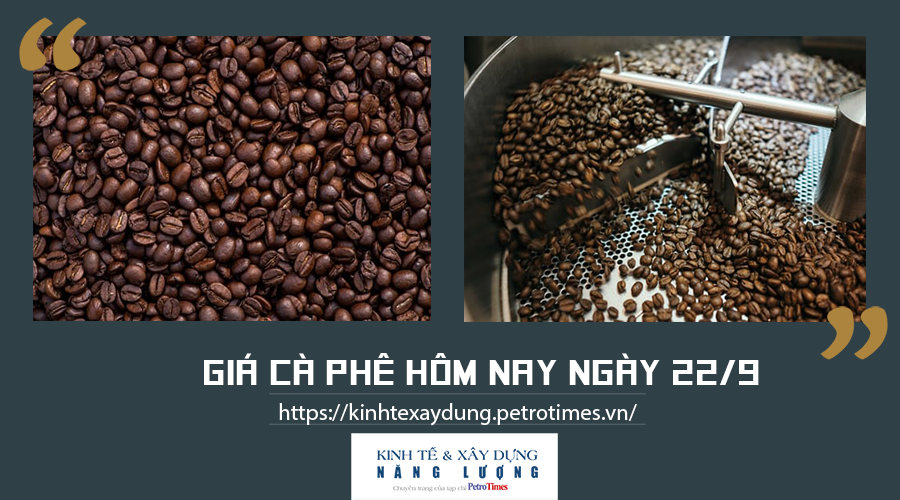 Giá cà phê hôm nay ngày 22/9: Giữ mức ổn định