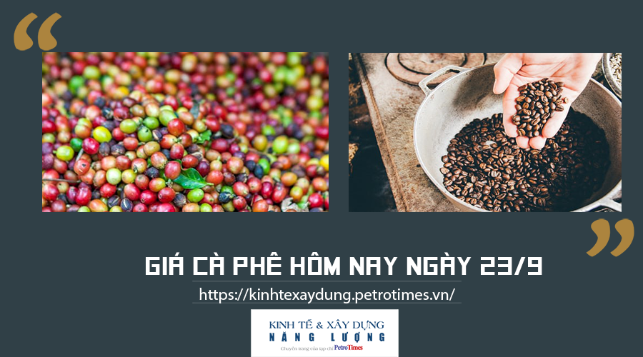 Giá cà phê hôm nay ngày 23/9: Giảm nhẹ tại một số địa phương trọng điểm