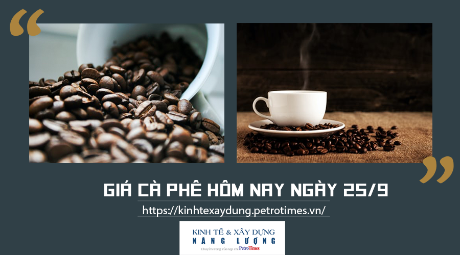 Giá cà phê hôm nay ngày 25/9: Tăng nhẹ tại các địa phương trọng điểm