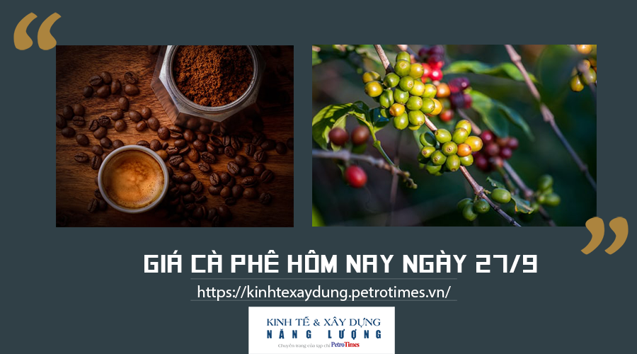 Giá cà phê hôm nay ngày 27/9: Tăng nhẹ tại một số địa phương
