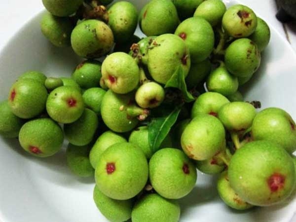 Những loại trái cây giàu canxi mà mẹ bầu không nên bỏ qua Những loại trái cây giàu canxi mà mẹ bầu không nên bỏ qua