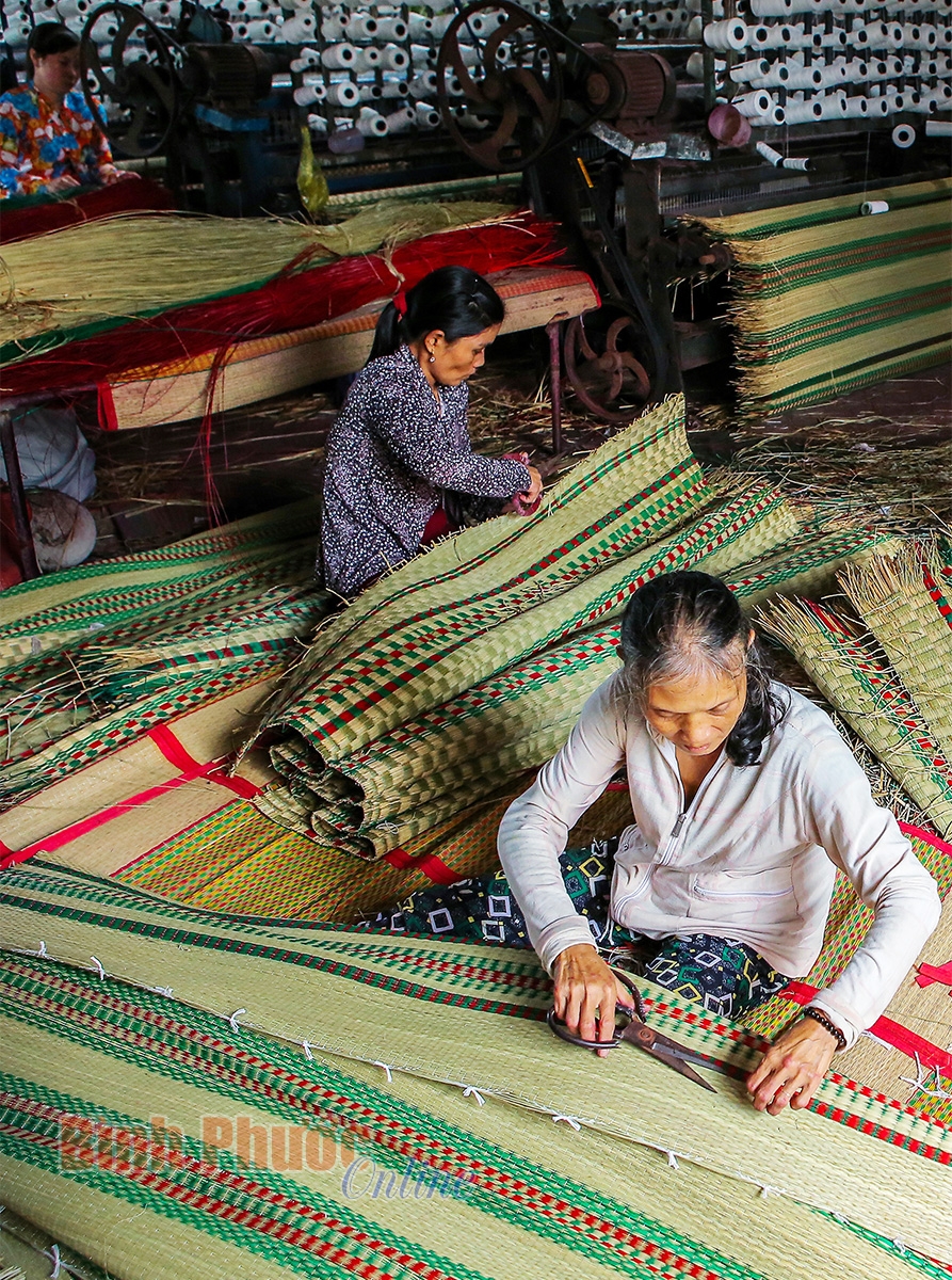 Khám phá vẻ đẹp ở làng nghề dệt chiếu trăm tuổi Khám phá vẻ đẹp ở làng nghề dệt chiếu trăm tuổi
