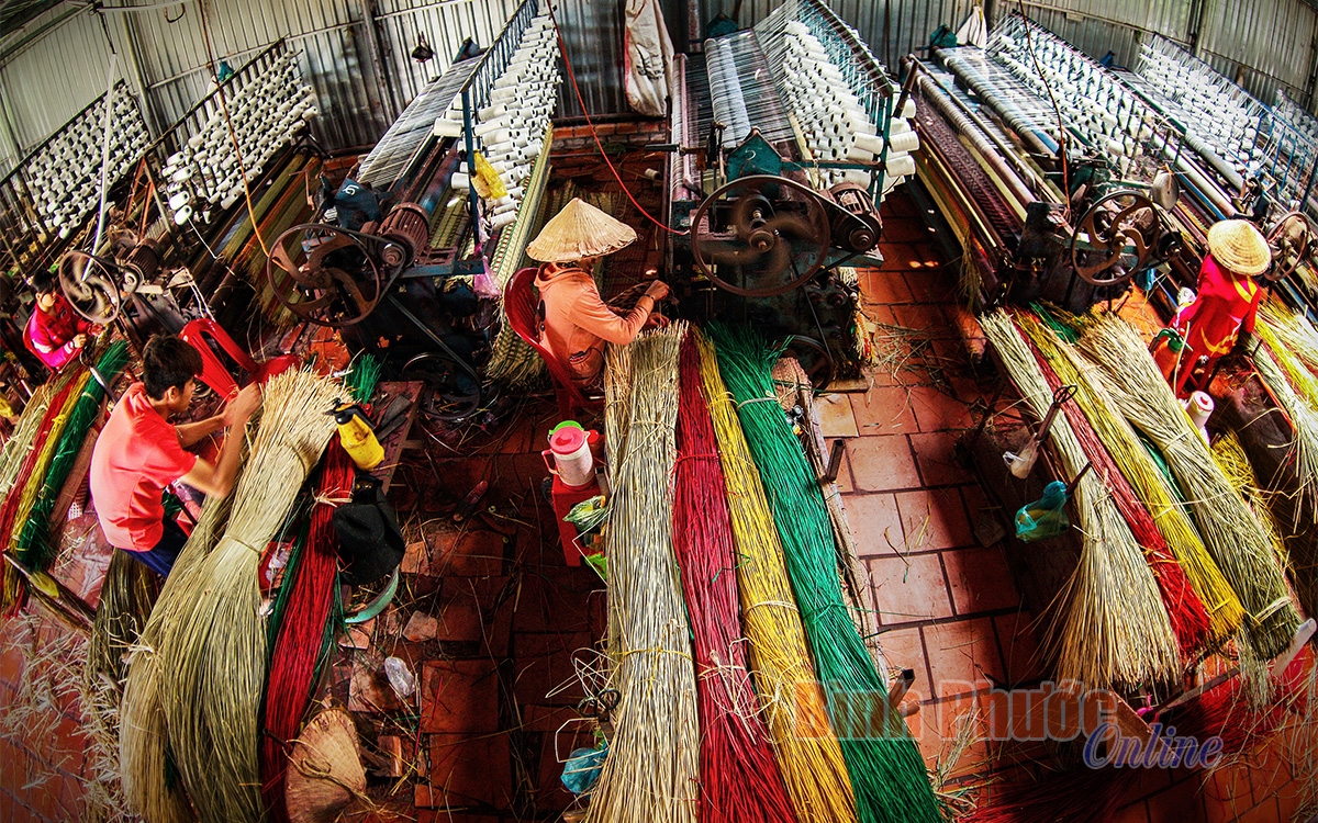 Khám phá vẻ đẹp ở làng nghề dệt chiếu trăm tuổi Khám phá vẻ đẹp ở làng nghề dệt chiếu trăm tuổi