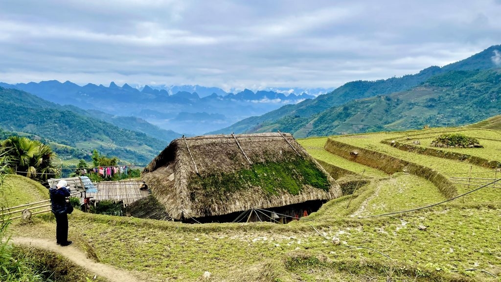 Nhà mái rêu Nhà mái rêu