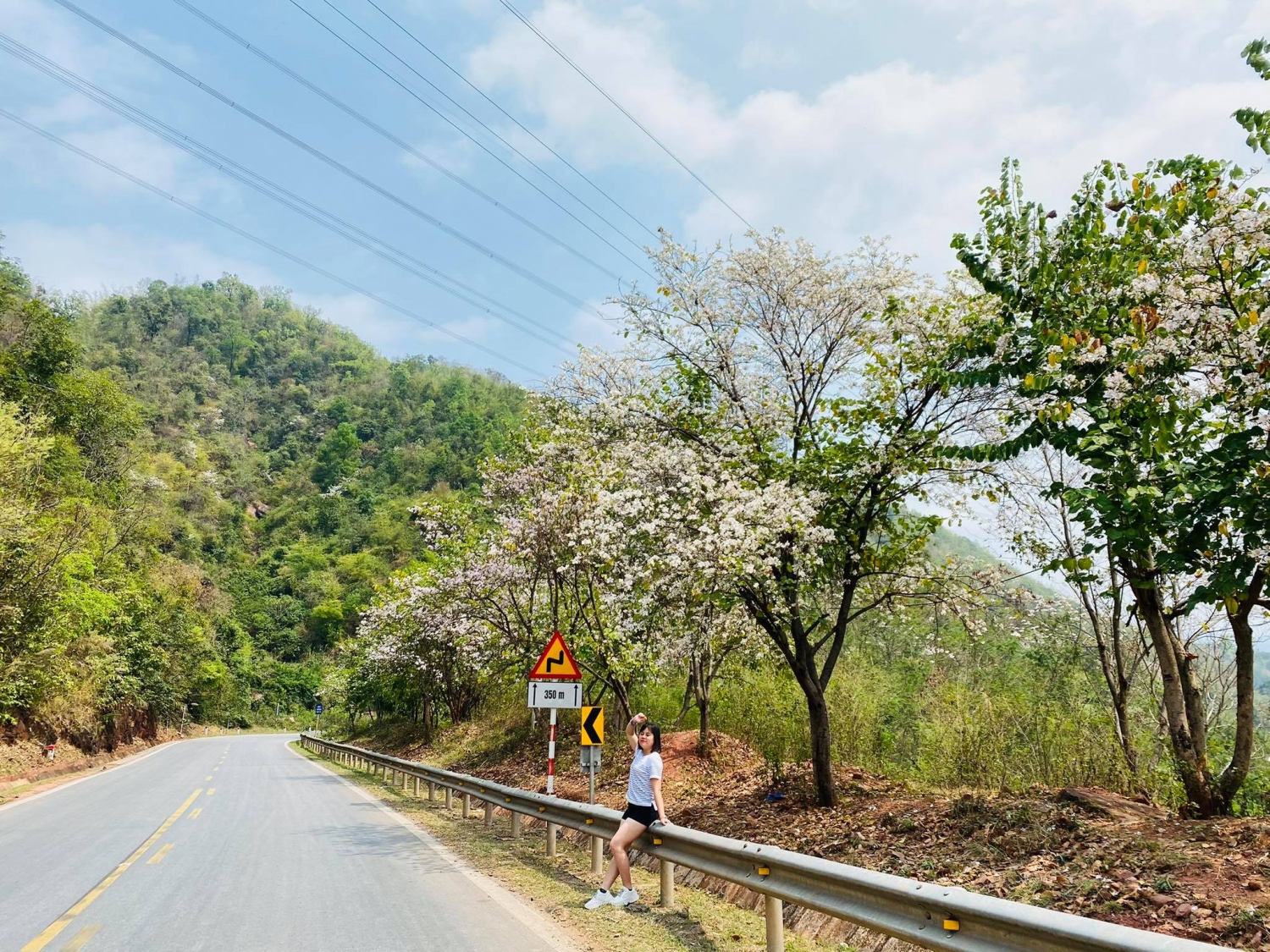 Đẹp ngỡ ngàng hoa ban Mộc Châu tháng Ba