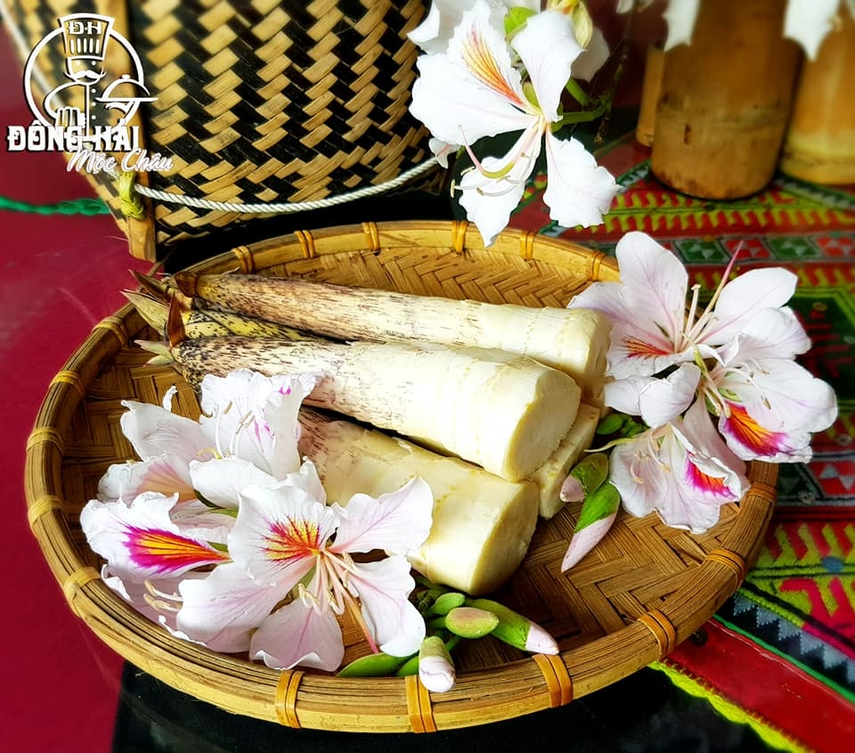 Đẹp ngỡ ngàng hoa ban Mộc Châu tháng Ba