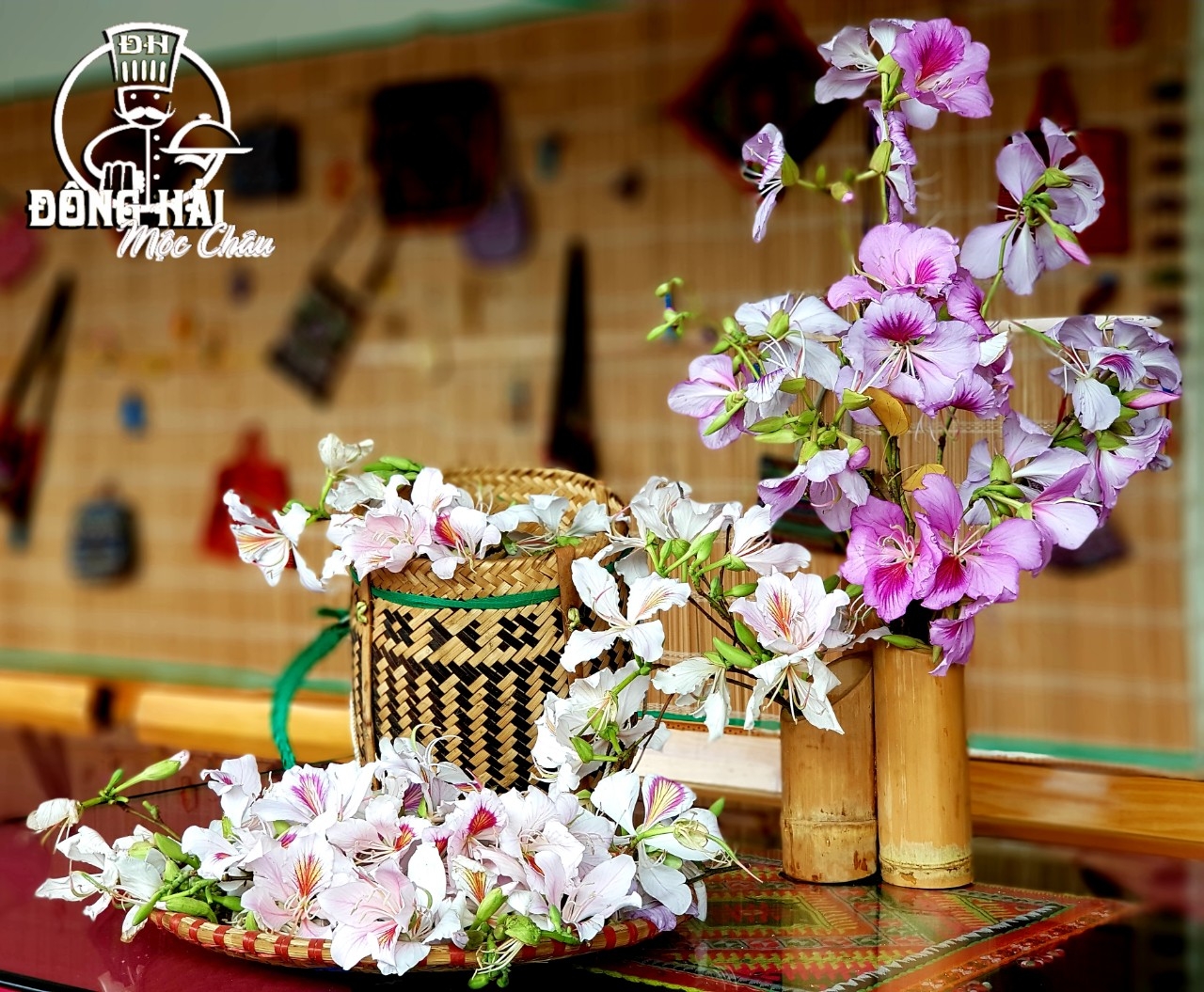 Đẹp ngỡ ngàng hoa ban Mộc Châu tháng Ba