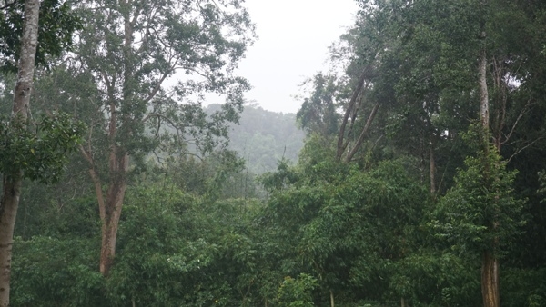 Khám phá thác Thủy Tiên