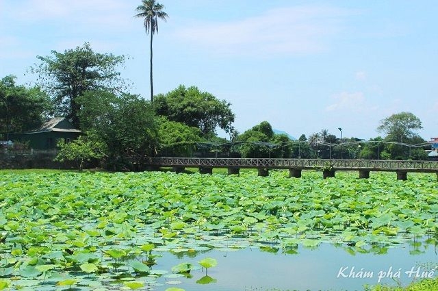 Đảo Bồng Lai - hồ Tịnh Tâm: Vườn ngự uyển bên Kinh thành Huế