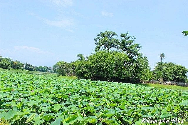 Đảo Bồng Lai - hồ Tịnh Tâm: Vườn ngự uyển bên Kinh thành Huế