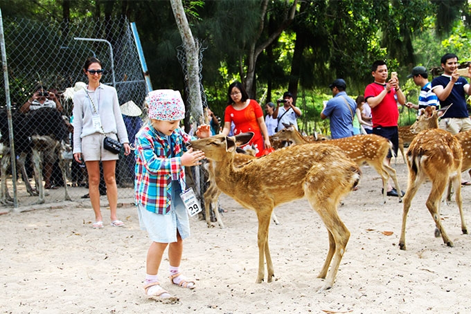 Lạc trôi giữa đảo Hoa Lan