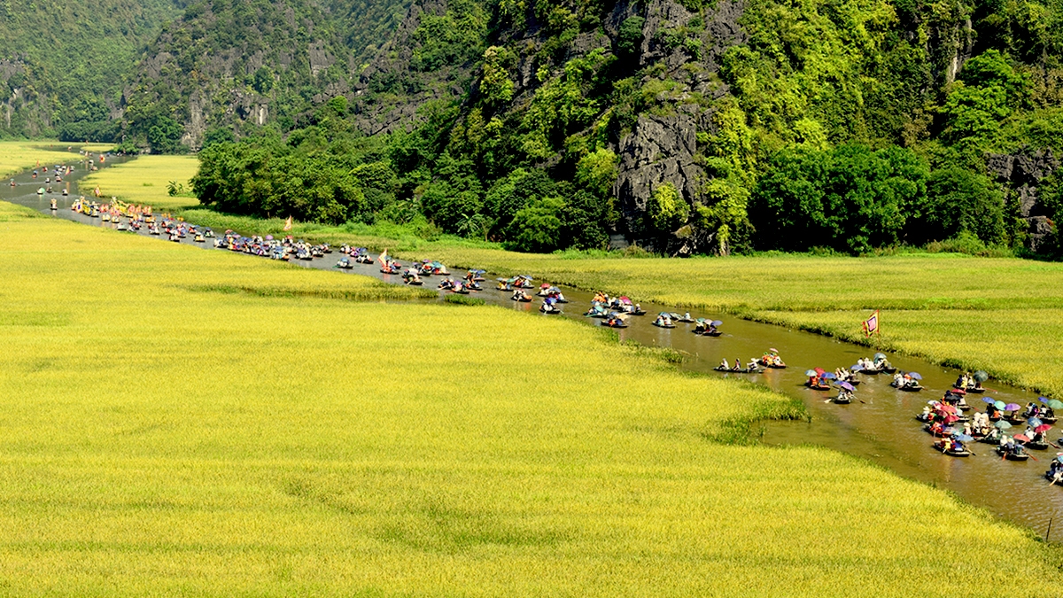 Ninh Bình tổ chức Tuần du lịch "Sắc vàng Tam Cốc - Tràng An" năm 2022 từ ngày 21-28/5