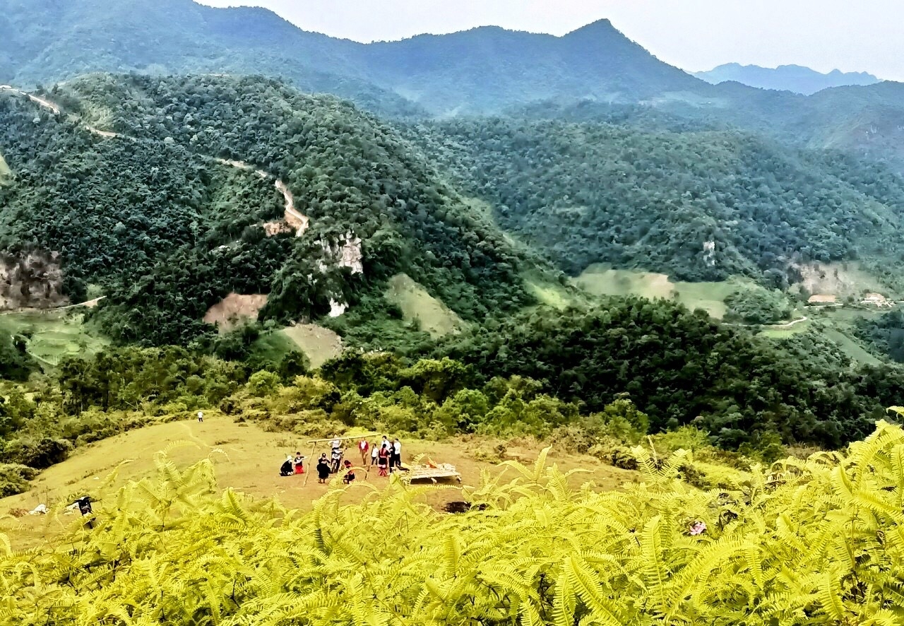 Đồi sim An Thắng - Điểm du lịch cuối tuần Đồi sim An Thắng - Điểm du lịch cuối tuần