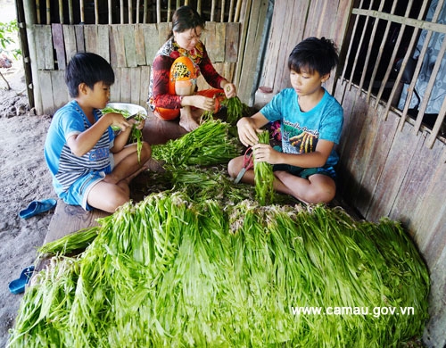 Hẹ nước - Món rau đồng miệt U Minh