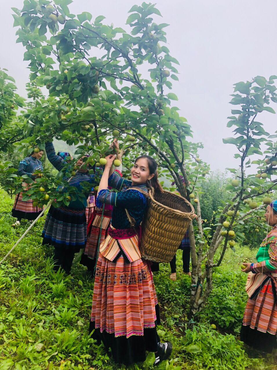 Si Ma Cai - Điểm đến mới trong mùa hè này