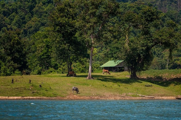 Du thuyền trên lòng hồ thủy điện Sông Hinh