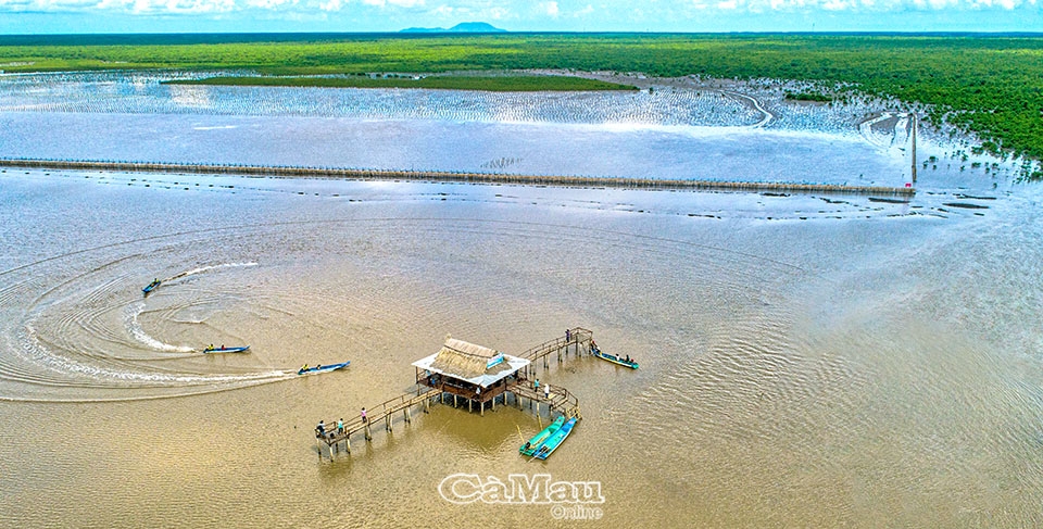 Du lịch xanh Mũi Cà Mau Du lịch xanh Mũi Cà Mau