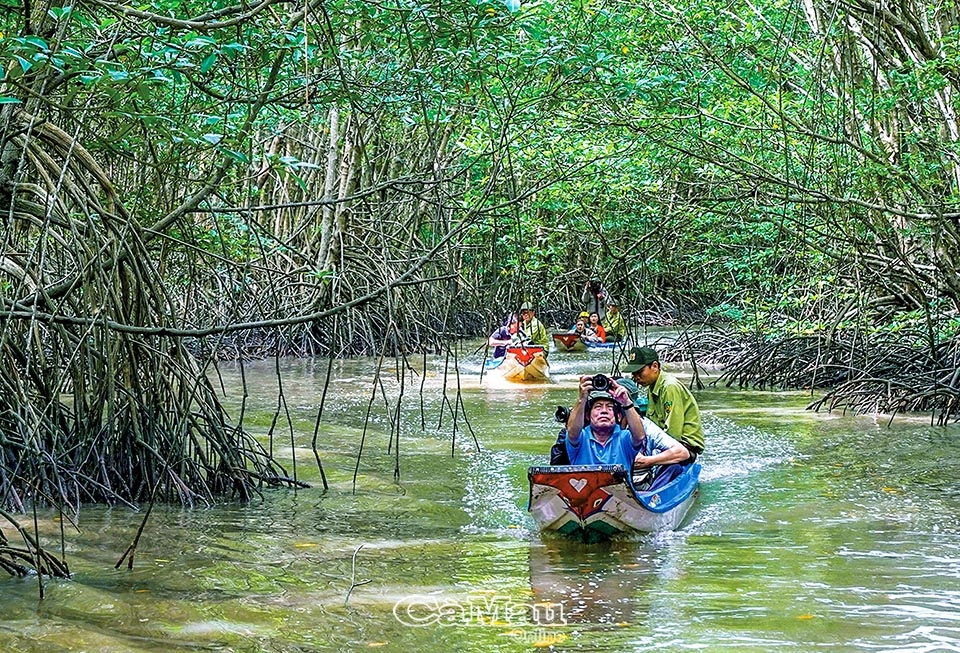 Du lịch xanh Mũi Cà Mau Du lịch xanh Mũi Cà Mau