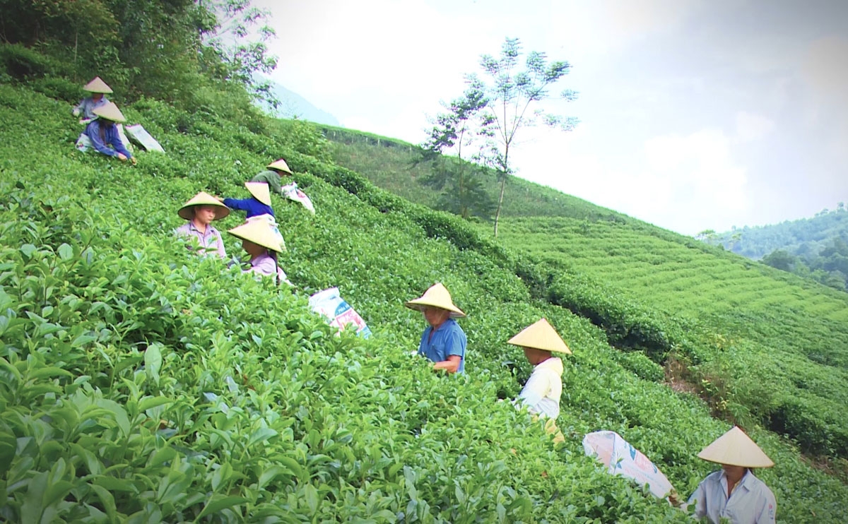 La Bằng - Mảnh đất tươi đẹp dưới chân Tam Đảo