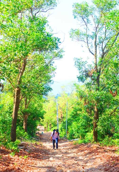 Khám phá Ngọc Vừng