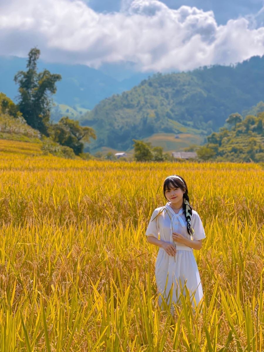 Mùa vàng rực rỡ ở Nậm Cang - Sa Pa