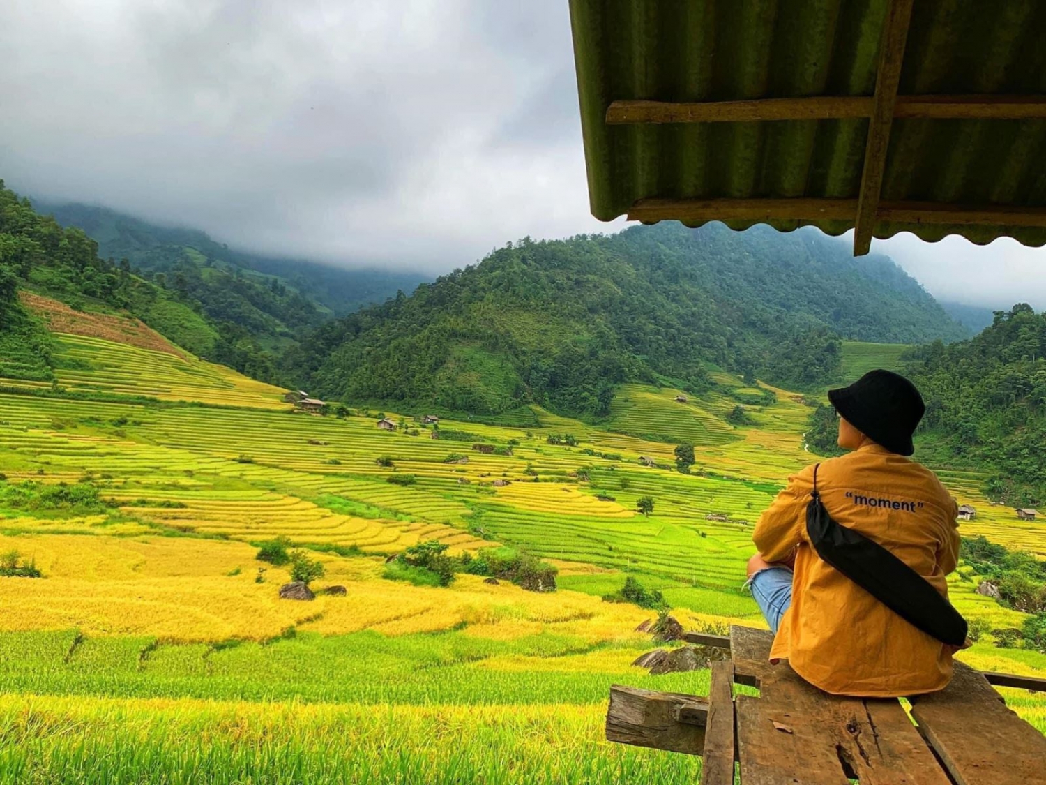 Mùa vàng rực rỡ ở Nậm Cang - Sa Pa