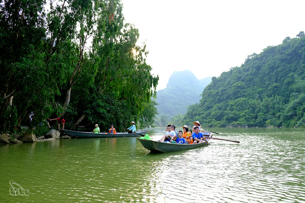 Vườn chim Thung Nham – điểm du lịch sinh thái đa dạng, ngày càng hấp dẫn của Ninh Bình