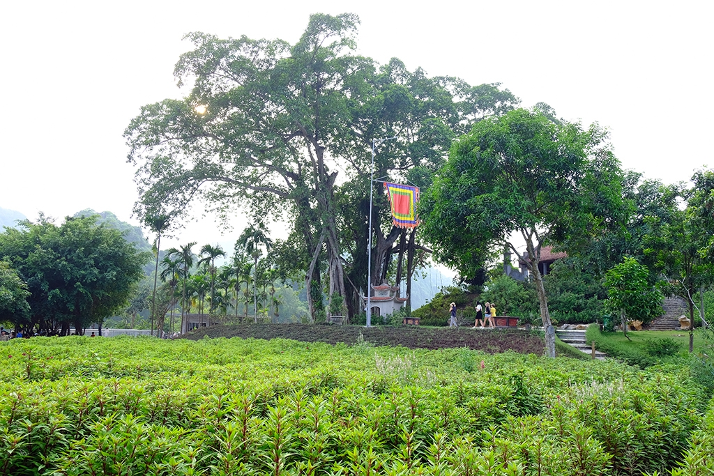 Vườn chim Thung Nham – điểm du lịch sinh thái đa dạng, ngày càng hấp dẫn của Ninh Bình