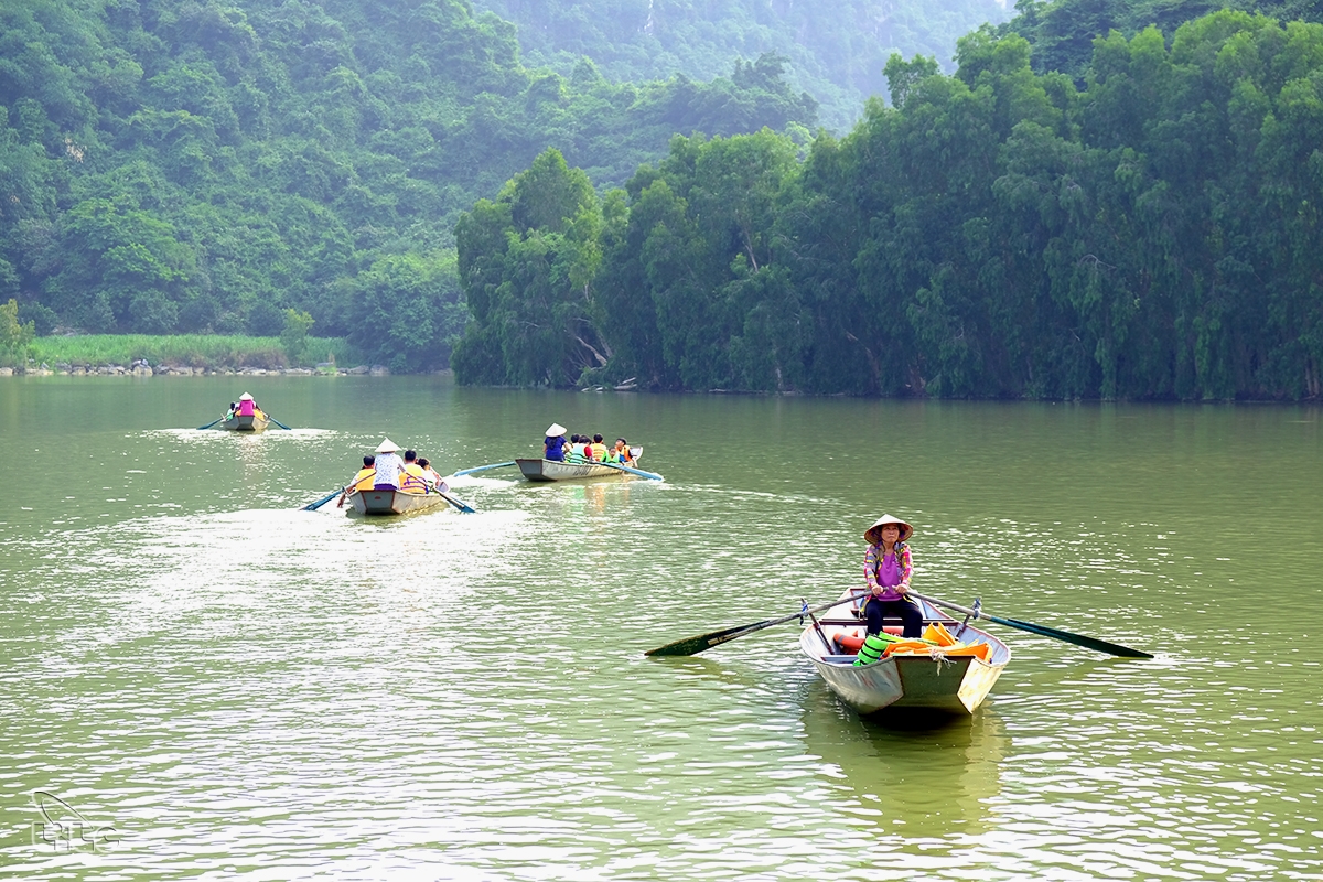 Vườn chim Thung Nham – điểm du lịch sinh thái đa dạng, ngày càng hấp dẫn của Ninh Bình