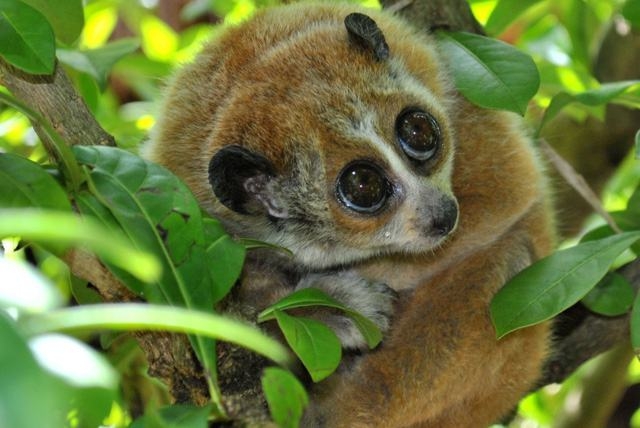 Cù Lần - Ngôi làng độc đáo dưới chân núi Langbiang hùng vĩ Cù Lần - Ngôi làng độc đáo dưới chân núi Langbiang hùng vĩ