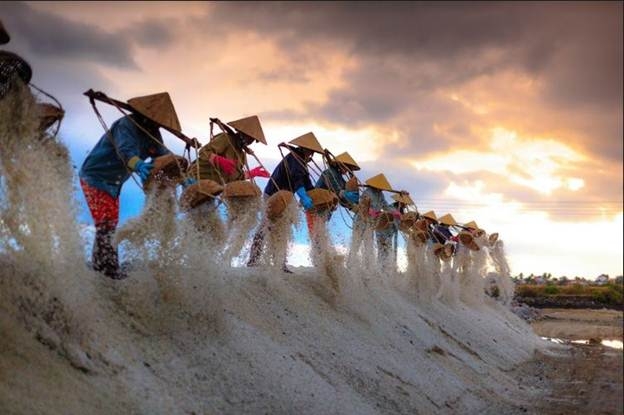 Vẻ đẹp mặn mà của những cánh đồng muối Ninh Thuận Vẻ đẹp mặn mà của những cánh đồng muối Ninh Thuận