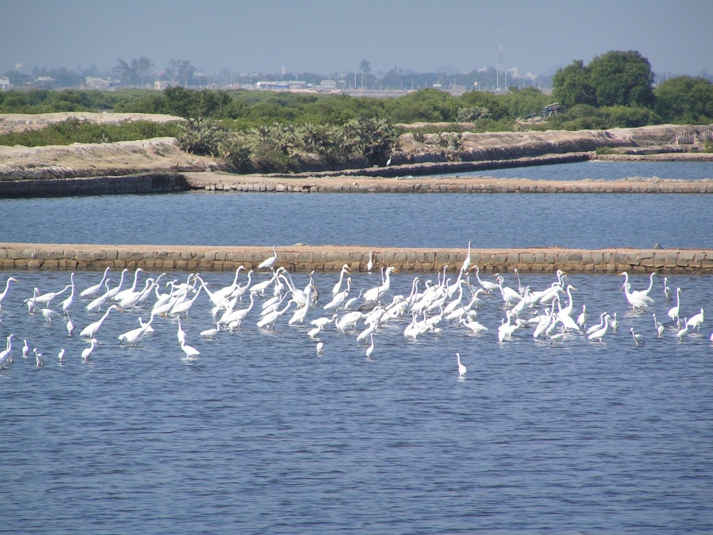 Khám phá vẻ đẹp hoang sơ của Khu dự trữ sinh quyển Núi Chúa Khám phá vẻ đẹp hoang sơ của Khu dự trữ sinh quyển Núi Chúa