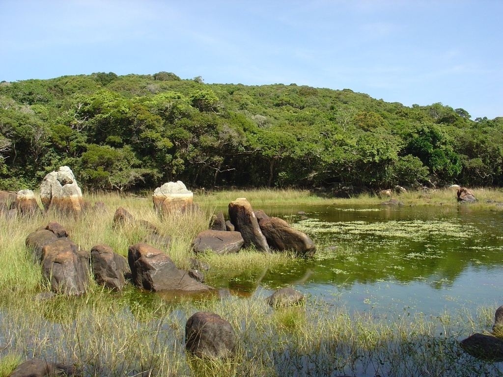 Khám phá vẻ đẹp hoang sơ của Khu dự trữ sinh quyển Núi Chúa Khám phá vẻ đẹp hoang sơ của Khu dự trữ sinh quyển Núi Chúa