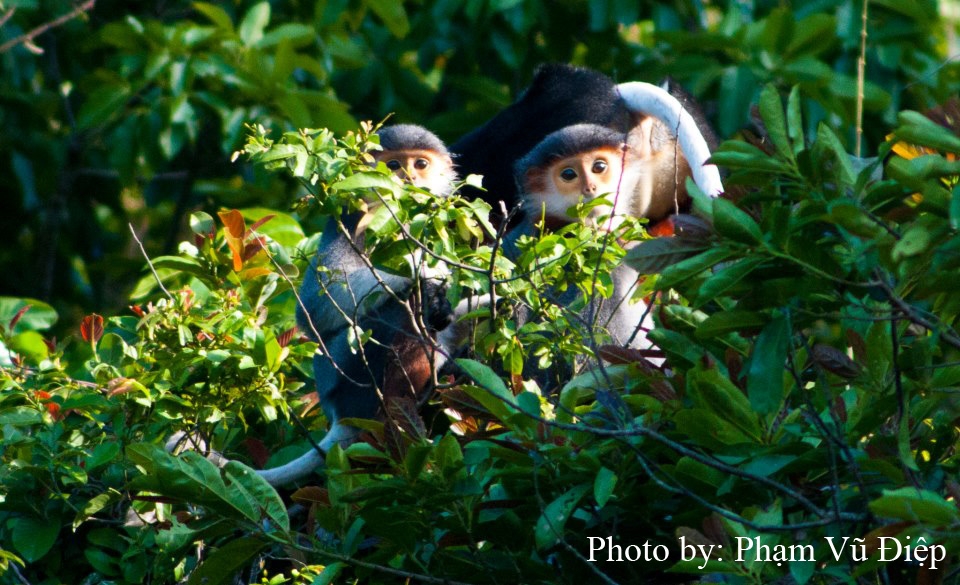 Khám phá vẻ đẹp hoang sơ của Khu dự trữ sinh quyển Núi Chúa Khám phá vẻ đẹp hoang sơ của Khu dự trữ sinh quyển Núi Chúa