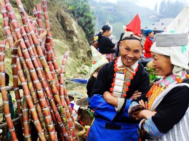 Khám phá mùa lúa chín vàng óng và phiên chợ Sừng ở vùng biên giới Sì Lở Lầu Khám phá mùa lúa chín vàng óng và phiên chợ Sừng ở vùng biên giới Sì Lở Lầu