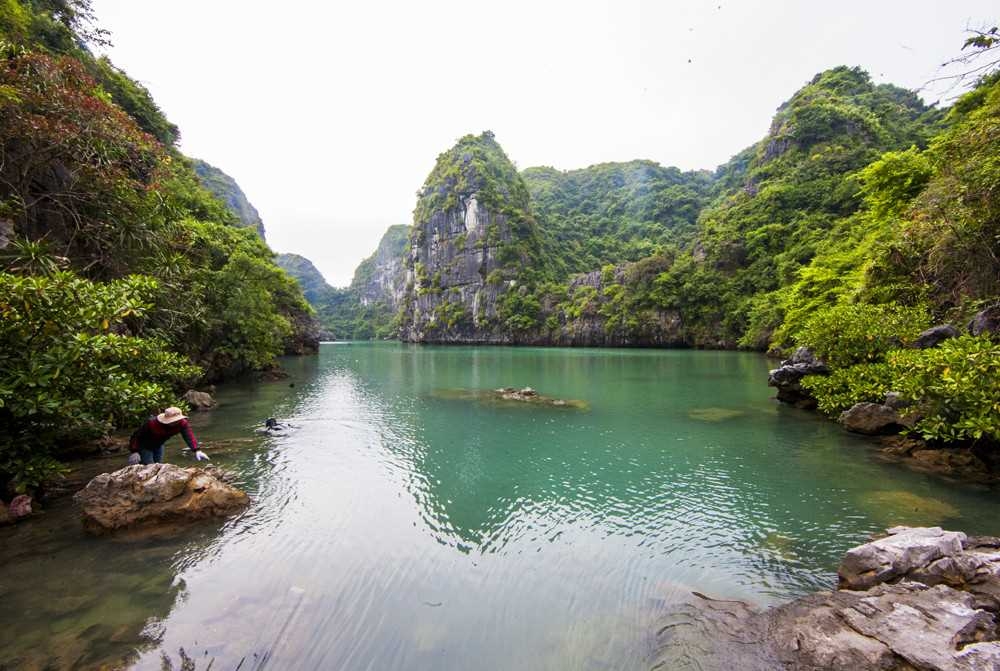 Tiềm năng du lịch từ các hồ, áng trên Vịnh Hạ Long Tiềm năng du lịch từ các hồ, áng trên Vịnh Hạ Long