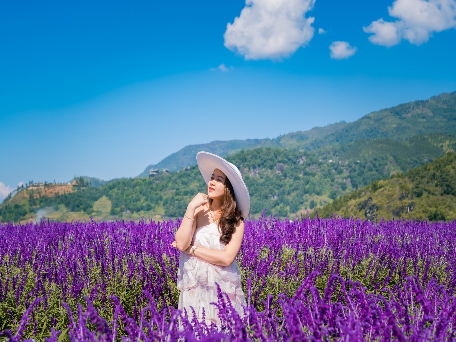 Mê mẩn trước vườn hoa lavender ở Sa Pa Mê mẩn trước vườn hoa lavender ở Sa Pa