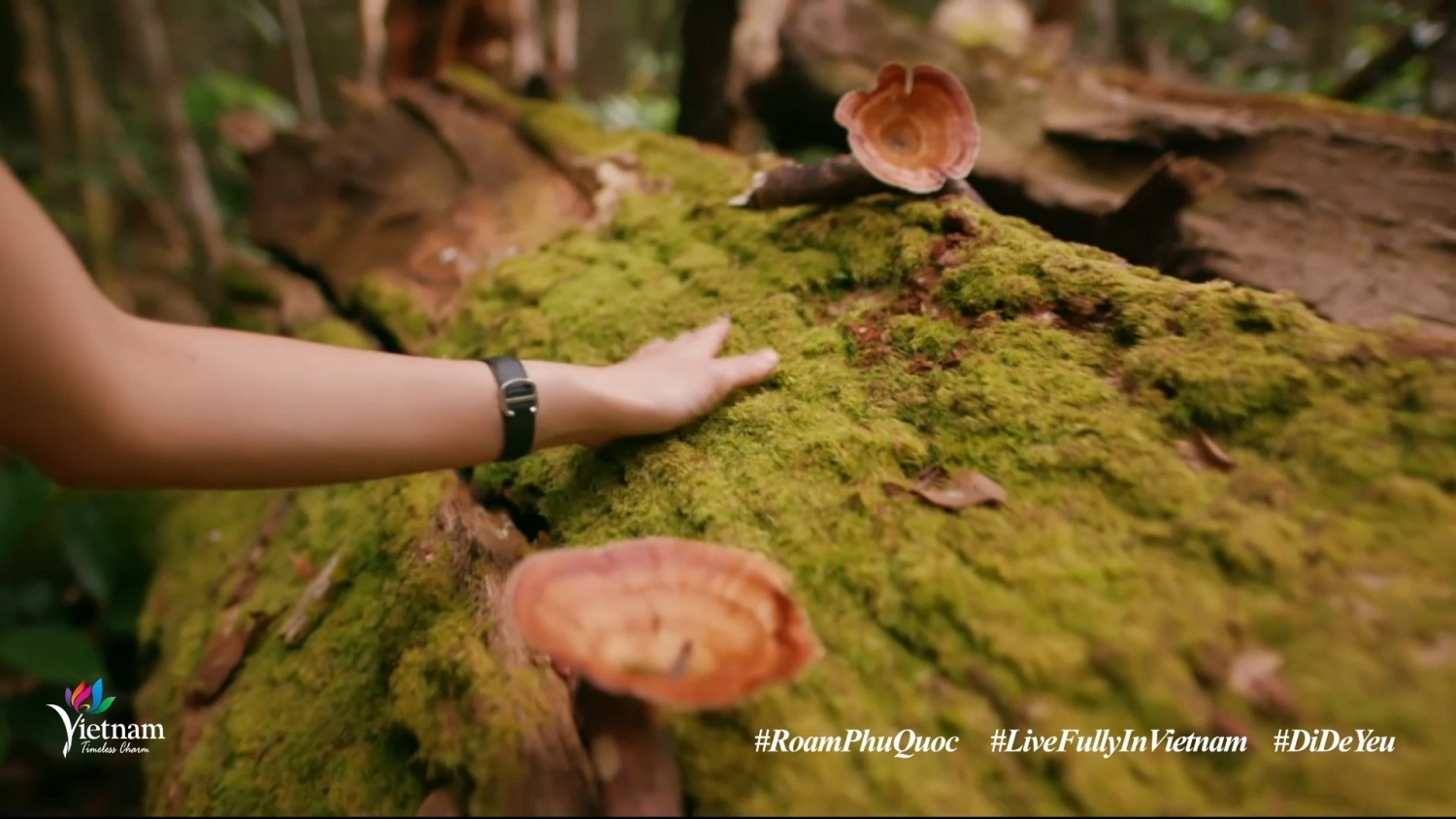 Du ngoạn Phú Quốc qua clip “Việt Nam: Đi Để Yêu! – Roam Phu Quoc”