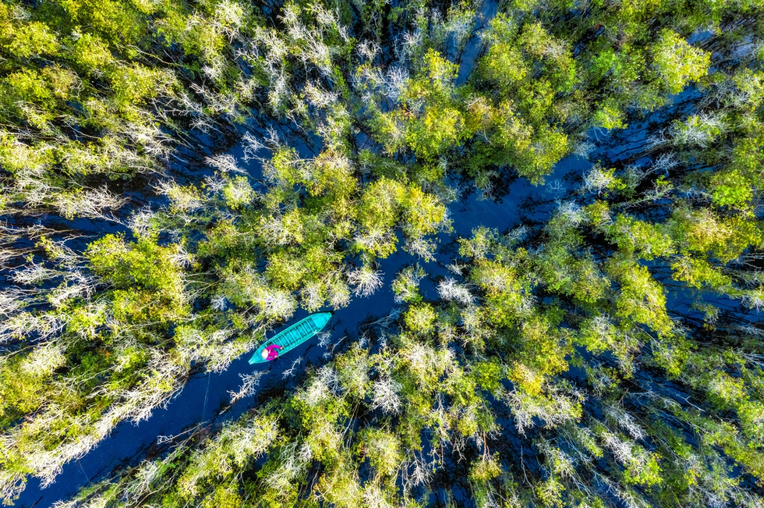 Vẻ đẹp độc đáo của Vườn quốc gia Tràm Chim Vẻ đẹp độc đáo của Vườn quốc gia Tràm Chim