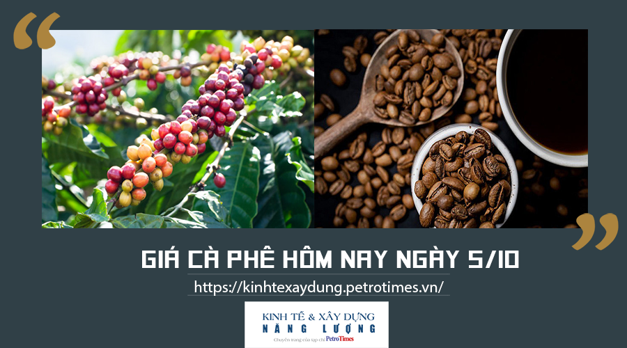 Giá cà phê hôm nay ngày 5/10: Thị trường thế giới và trong nước duy trì ổn định