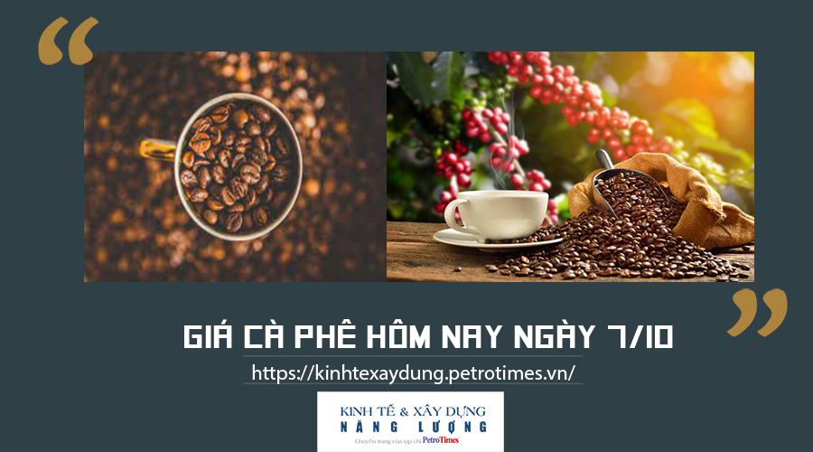 Giá cà phê hôm nay ngày 7/10: Cao nhất 40.200 đồng/kg