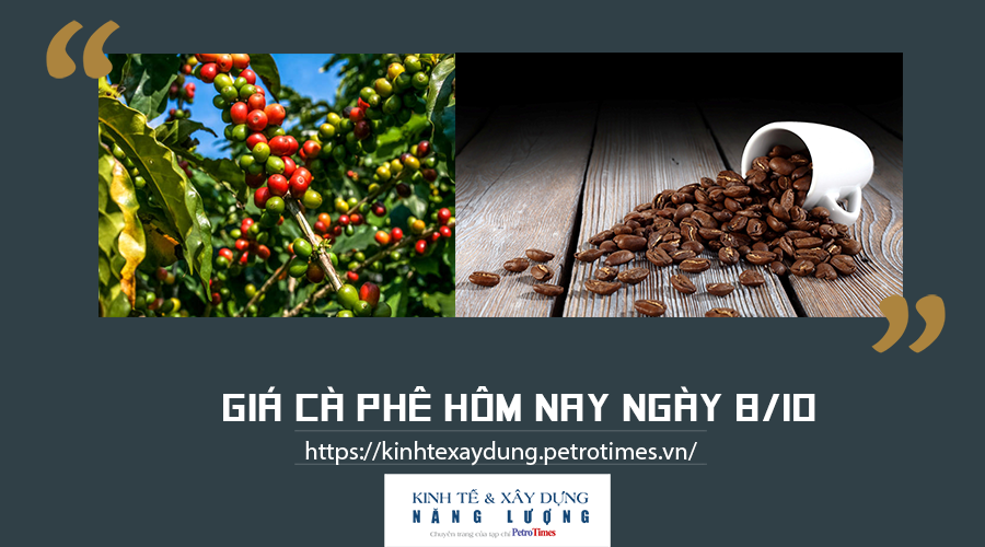 Giá cà phê hôm nay ngày 8/10: Trong nước đi ngang, thế giới tiếp tục tăng