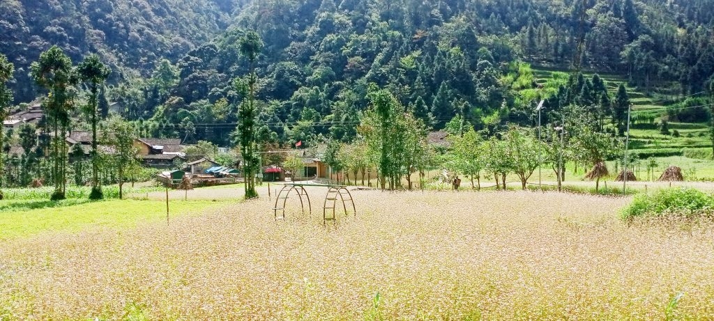 Có một Lũng Cẩm mộng mơ