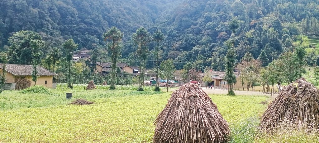 Có một Lũng Cẩm mộng mơ