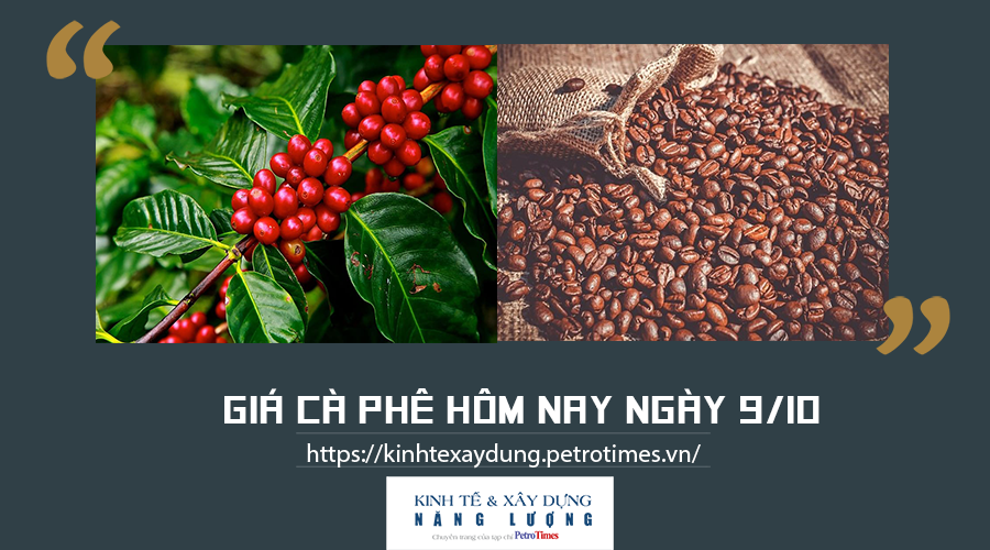 Giá cà phê hôm nay ngày 9/10: Trong nước chững lại, Arabica thế giới tăng mạnh