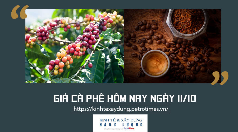Giá cà phê hôm nay ngày 11/10: Giao dịch quanh mức 39.300 - 40.200 đồng/kg