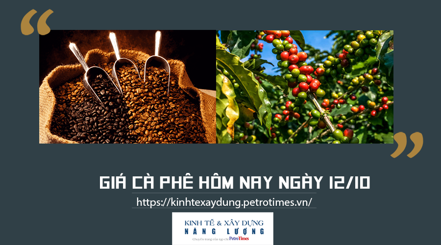 Giá cà phê hôm nay ngày 12/10: Thị trường trong nước đi ngang, Arabica thế giới tiếp đà tăng mạnh