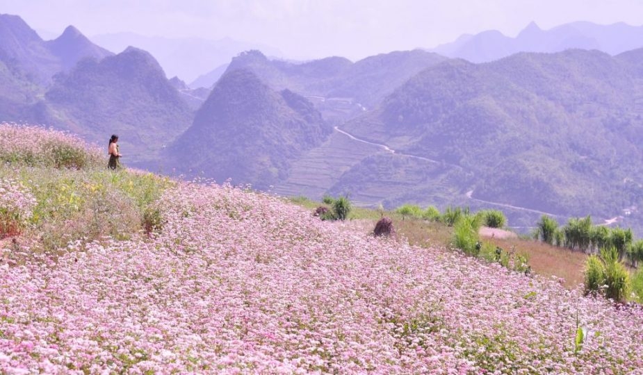 Top 9 điểm checkin ở Hà Giang nhất định phải thử Top 9 điểm checkin ở Hà Giang nhất định phải thử